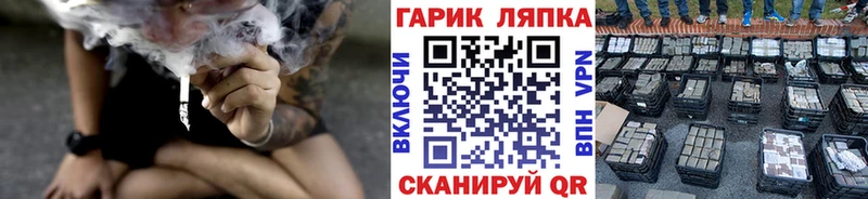 ГАШ Ice-O-Lator  Онега 