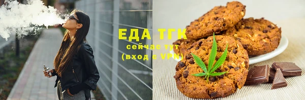 стаф Богданович