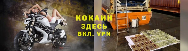 стаф Богданович