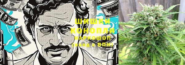 стаф Богданович