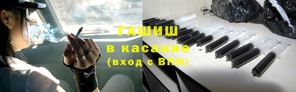 стаф Богданович