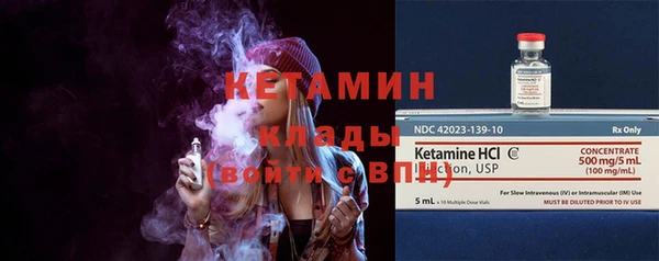 стаф Богданович