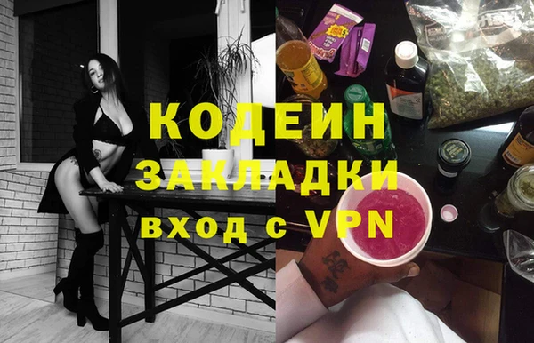 стаф Богданович