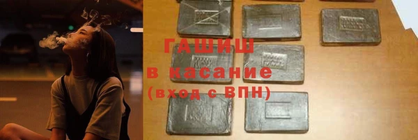 стаф Богданович