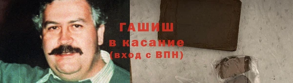 стаф Богданович
