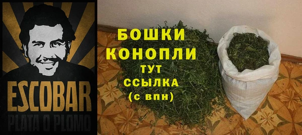 стаф Богданович