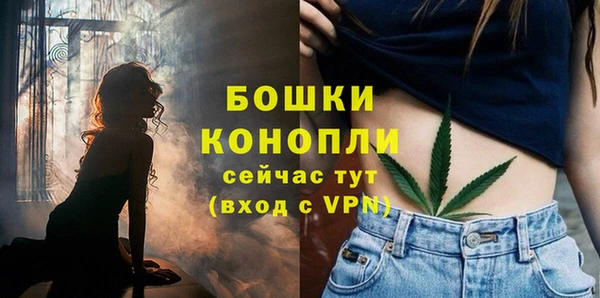стаф Богданович