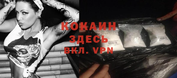 стаф Богданович