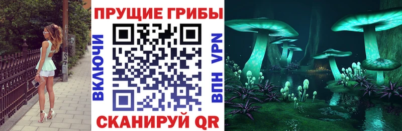Псилоцибиновые грибы Psilocybe  дарк нет официальный сайт  Онега 
